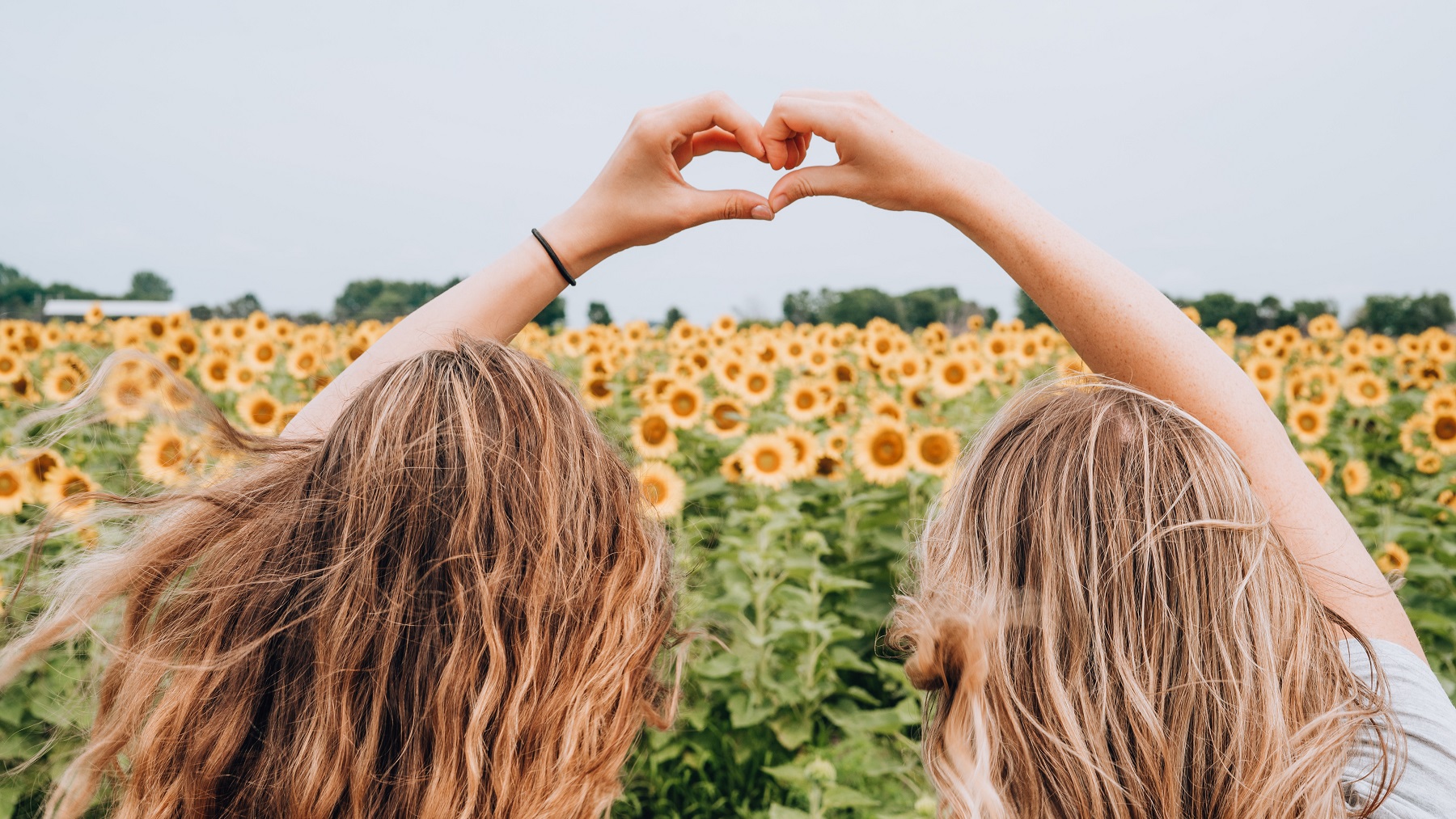 Solidariteit is de kracht voor verandering